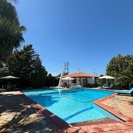Country House With Pool And Big Garden Oropo Exterior foto